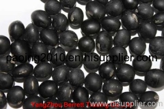 Tamba black Bean