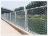 Galvanized chain link fence