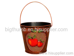 Decorative Tin bucket