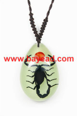 Real Scorpion Insect Amber Pendant jewelry,insect jewelry,bug jewelry,unique gift