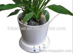 USB flowerpot