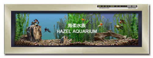 wall mounted aquarium