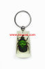 real insect green chafer beetle keychains,lucite keyring,unique gift