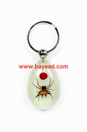 real spider bug lucite keychains,bug amber key ring,so cool gift