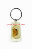 real chinese crab resin keychains,crab amber keychain,crab keyring