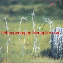 ISO9001 & CE approval barb wire