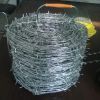 Hot sell barb wire