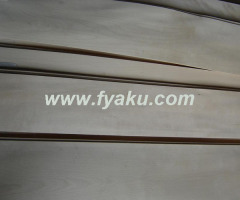 Chinese Maple Veneer