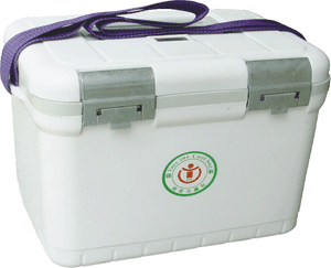 6 Liter cooler Bags