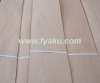 Steamed Beech Veneer