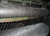 Hexagonal Wire Mesh