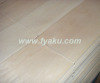 Hard Maple Veneer