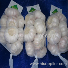 Normal White Garlic