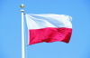 Custom Polish Flag