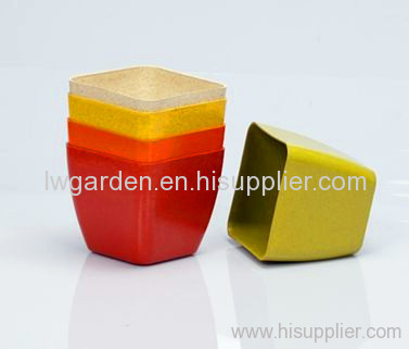 biodegradable flower pots