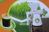 Healthy Juicer Manual Wheatgrass Juicer
