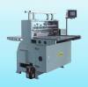 HDPE Film,LDPE Film Cutting Machine