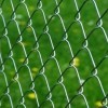 Electro Galvanized Chain Link fence