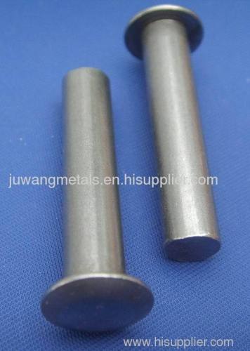 China steel solid rivet