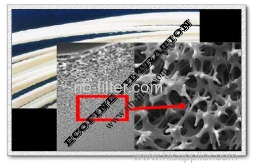 Hollow Fiber Membrane