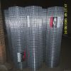 Stainless steel welded mesh