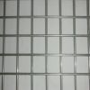 Stainless steel welded mesh