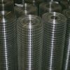 Stainless steel welded mesh