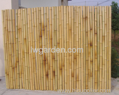 Natural bamboo fence