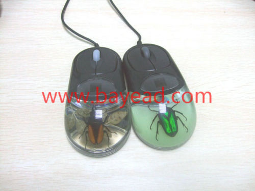 real insect green chafer beetle optical computer mouse,bug mouse,insect mouse