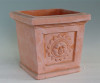 Terracotta garden pots