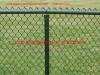 PVC coated Chain link fence