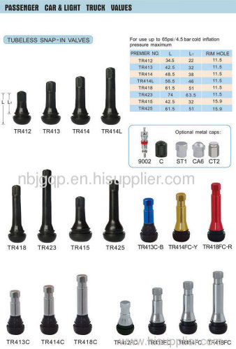 tubless tire valves or tire nozzles