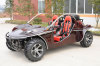 800cc EEC buggy