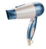 DC 1600W Anion Hair Dryer