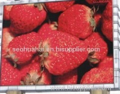 indoor led display p7.62