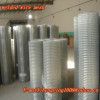 Welded Wire Mesh