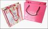 2011 Fashionable Paper Bag & Gift Bag & Shopping Bag