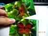 plastic lenticular 3D card