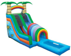 tropical tunnel water slide with pool