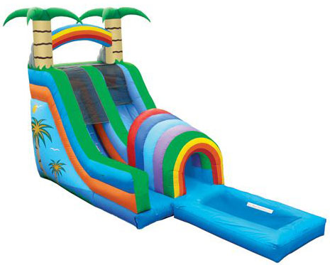 tropical tunnel water slide with pool