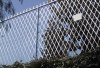 Welded Razor Wire Mesh