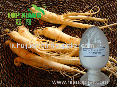 America Ginseng Extract(American ginseng saponin)