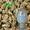 Notoginseng Extract