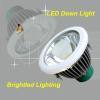 LED down light