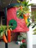 Topsy Turvy Hot Pepper Planter as seen on tv