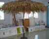 thatched parasol