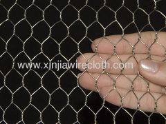 Galvanized chicken wire mesh