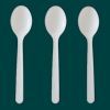 Biodegradable spoons