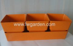 Biodegradable herb planter