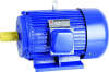 Y SERIES THREE PHASE INDUCTION MOTOR